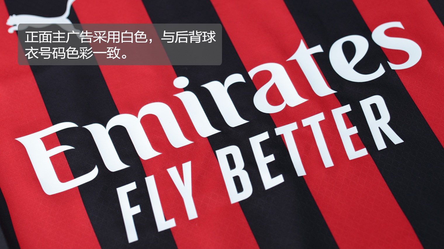 广东VS北控二番战前瞻：广东遭遇耻辱败仗必反弹